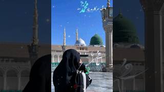 Banaye Hain Mein Ne Ye Dono Jahan Faqat Mustafa Ke Liye  12 Rabi ul Awal Posts [upl. by Mauralia]