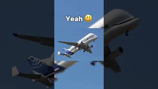 Airbus Beluga ✈️ In Different Modes [upl. by Ula470]