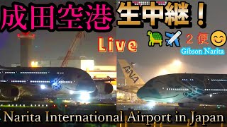 🐢2成田空港📸生中継 Narita International Airport 🛫Live【Gibson Narita】 [upl. by Aneeras213]