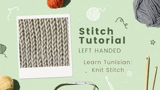 How to Crochet the Tunisian Knit Stitch—Left Hand  Learn Tunisian Series [upl. by Luapnoj577]