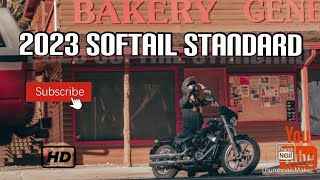 2023 HarleyDavidson Softail Standard the bike customizers perfect platform [upl. by Naujad]