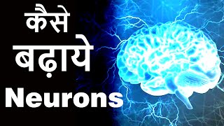 How To Increase Neurons In The Brain Neurogenesis And Neuroplasticity [upl. by Inavihs670]