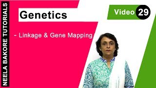 Genetics  Principles of Inheritance amp Variations  NEET  Linkage amp Gene Mapping  Neela Bakore [upl. by Onit]