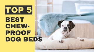 Top 5 Best ChewProof Dog Beds  Which Dog Beds Are Truly ChewProof [upl. by Way]