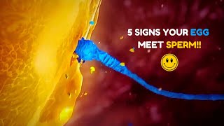 5 Major Signs Your Egg Has Been Fertilized  Egg and Sperm Meet Symptoms [upl. by Landri]