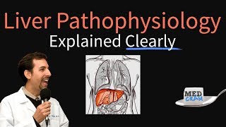 Liver Explained Clearly  Pathophysiology LFTs Hepatic Diseases [upl. by Lemkul]