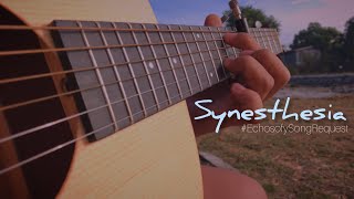 Synesthesia  Mayonnaise  Echosofy Fingerstyle [upl. by Persis210]