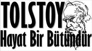 quotHayat Bir Bütündürquot TOLSTOY sesli kitap tek parça Akın ALTAN [upl. by Melac307]