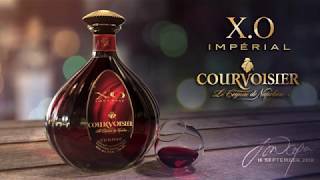 XO Imperial Courvoisier 3D Modeling [upl. by Arutnev]