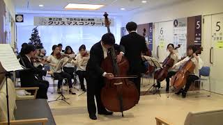 20171209 ドラゴネッティ コントラバス協奏曲1楽章 Dragonetti Double Bass Concerto in A major Mov1 [upl. by Assiar]