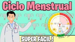 Entendamos el CICLO MENSTRUAL ¿Cómo calcular los días fértiles [upl. by Enala312]