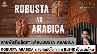 Arabica vs Robusta ความต่างของกาแฟ 2 สายพันธุ์  Coffee Shot Podcast [upl. by Nylekcaj797]