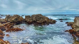 Exploring The Beach Storm Damage and… Muppet History — Asilomar State Beach [upl. by Ylrebnik333]