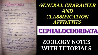 GENERAL CHARACTER AND CLASSIFICATION OF CEPHALOCHORDATA IN HINDI cephalochordatanotes zoology vbu [upl. by Schnabel]