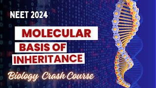 Molecular Basis of Inheritance Part 1  NEET 2024 Biology Crash Course  Analysis Orbis [upl. by Anh]