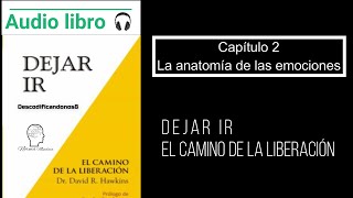 Audiolibro Dejar ir Capitulo 2 La anatomía de las emociones Voz humana [upl. by Anivla]