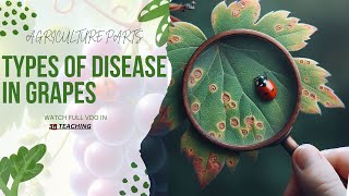 DISEASES OF GRAPEVINE [upl. by Eloisa207]