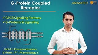 G Protein Coupled Receptor Part 1  GPCR  GProtein Signaling Pathways [upl. by Durr514]