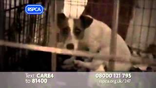 RSPCA Advert  247 2012 [upl. by Jobe]