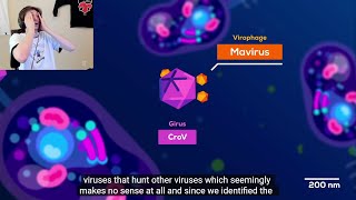 xQc reacts to This Virus Shouldnt Exist But it Does  Kurzgesagt [upl. by Doomham677]