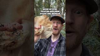 Massive Matsutake Mushroom Tricholoma murrillianum Delicious ASMR Fried Tempura Style Part I [upl. by Montagna]