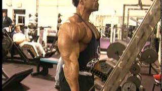 Kevin Levrone Tribute [upl. by Erdnaid]