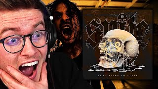 This Should Be Illegal  Spite  Dedication To Flesh  Album Reaction Highlights [upl. by Drofxer704]