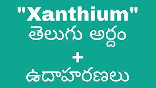 xanthium meaning in telugu with examples xanthiummeaninginteluguxanthiumtelugumeaningxanthium [upl. by Hak123]