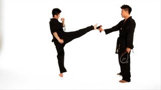 How to Do a Roundhouse Kick  Taekwondo Training [upl. by Hultgren]