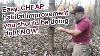 You need to be doing this cheap and easy deer habitat improvement right now [upl. by Dorrie]