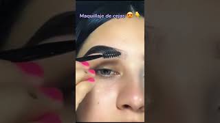 TUTORÍAL DE CEJAS 👀💕cejastutorial cejasmicroblading cejashermosas cejashermosas cejasperfectas [upl. by Natelson737]