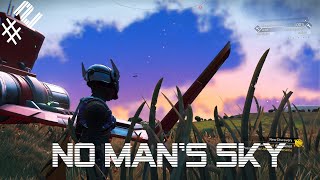 Finding the Perfect Planet  No Mans Sky 2 [upl. by Gyasi]