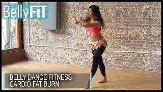 Belly Dance Fitness Calorie Burn  Shimmy Challenge [upl. by Arabele]