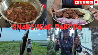 मराल मछली पकड़ कर पकौड़े बनायें  Small size snakehead fish 🐟 [upl. by Holmun654]