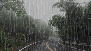 Lluvia Relajante Para Dormir y Relajarse en 3 Minutos  Ruido de Lluvia en el Bosque Brumoso  ASMR [upl. by Timi]