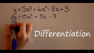 Differentiation [upl. by Rogovy]