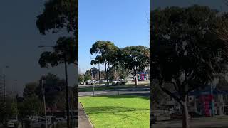 Around Cranbourne Park shops on 1 st of August 2024 travel vlog [upl. by Anelys]