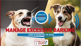 Complete Guide How to Manage Excessive Barking in Dogs [upl. by Yadnil]