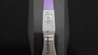 TTC 1  14 DPO  Pregnancy test  AF Due  Negative  22 Sept 2024  Baby Bump ttcjourney [upl. by Seroka]