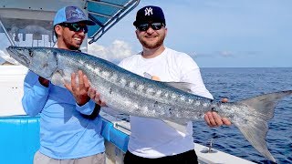 Giant Barracudas Crushing Topwater Baits with Seal Skin Covers [upl. by Cassell]