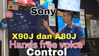 cara mengaktifkan hands free voice control sony X90J dan A80J [upl. by Cohleen443]