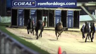 INTRALOT Racing Live Greyhound Racing 2014 [upl. by Eyeleen]