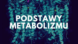 Podstawy metabolizmu  Korepetycje z biologii [upl. by Notnilk]