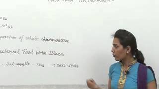 Pulse chase electrophoresis Lecture by Priya Rathore BSc Zoology Science [upl. by Efram774]