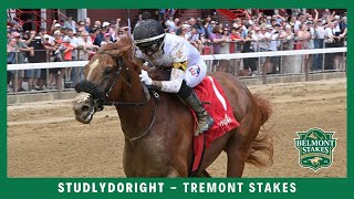 Studlydoright  2024  Tremont Stakes [upl. by Erny]