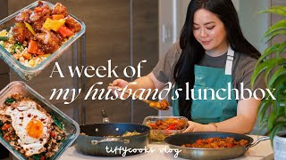 a week of husband’s lunchbox ep 5 🍱 cozy homecooked recipes [upl. by Trilly558]