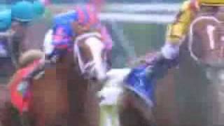 Horse Racing  Photo Finish [upl. by Tare]