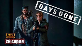 Создаём антивирус ➢ Days Gone Прохождение 29 gameplay game [upl. by Nosbig]