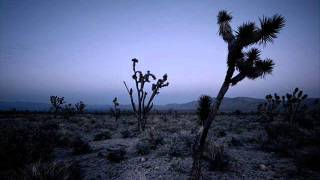 Borodin  In the Steppes of Central Asia [upl. by Notreb]