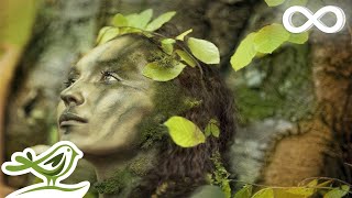 Dance of Life Relaxing Celtic Music for Meditation amp Sleep by Peder B Helland [upl. by Serilda393]